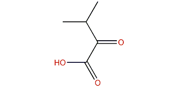 3-Methyl-2-oxobutanoic acid